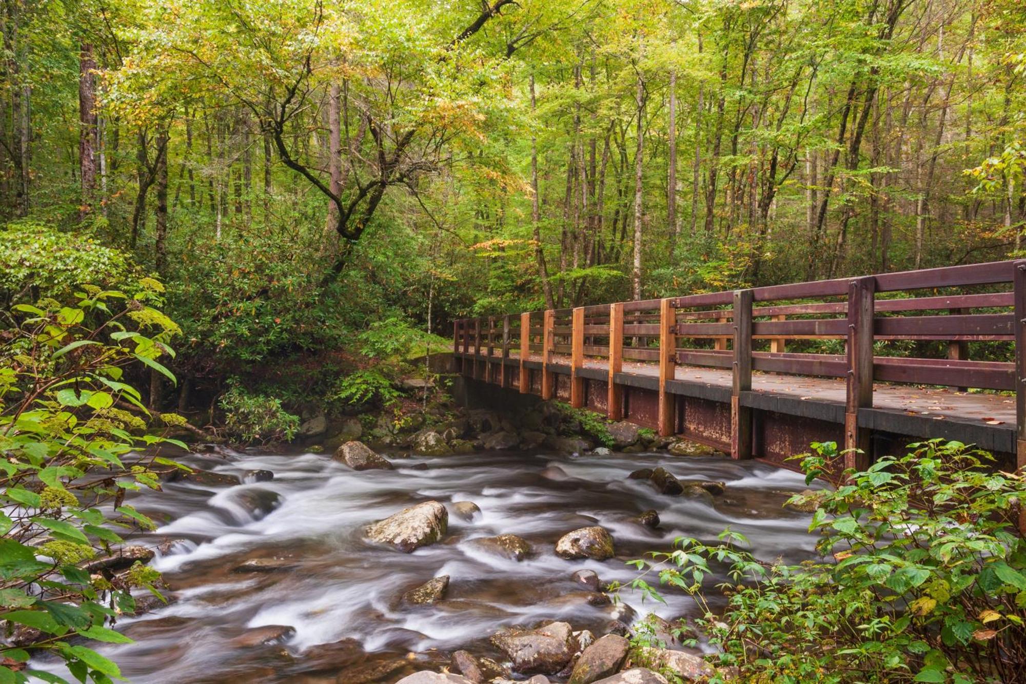 A Higher Calling, 1089 Of Free Area Attraction Tickets For Each Paid Day, Dollywood And More! Пиджен Фордж Екстериор снимка